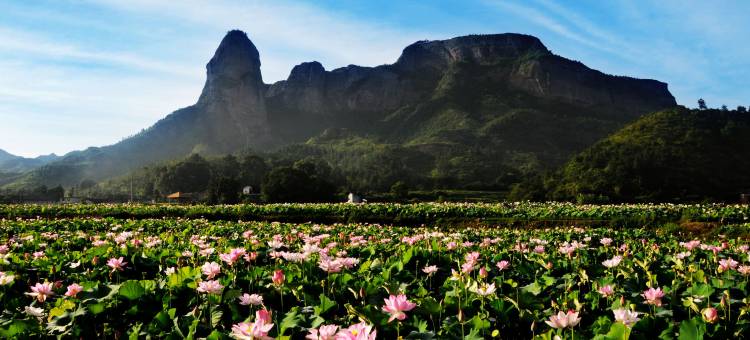 石城赛石花囿温泉民宿图片