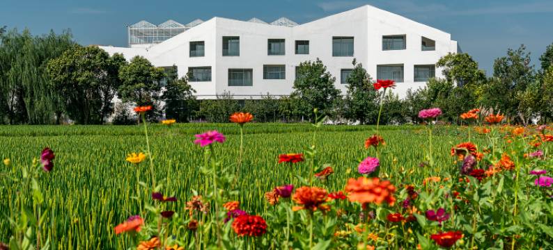 郁园乡野度假村图片