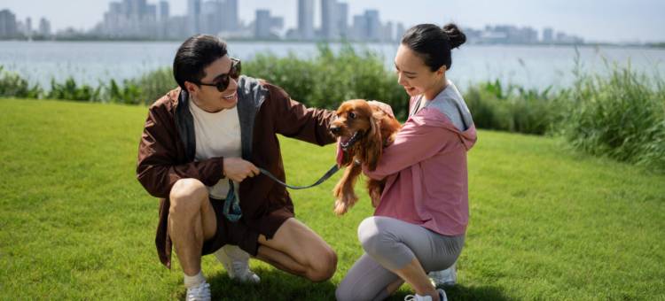 苏州四季酒店图片