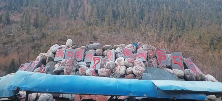 遇见圣途精品民宿图片