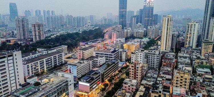 深圳金福林酒店图片