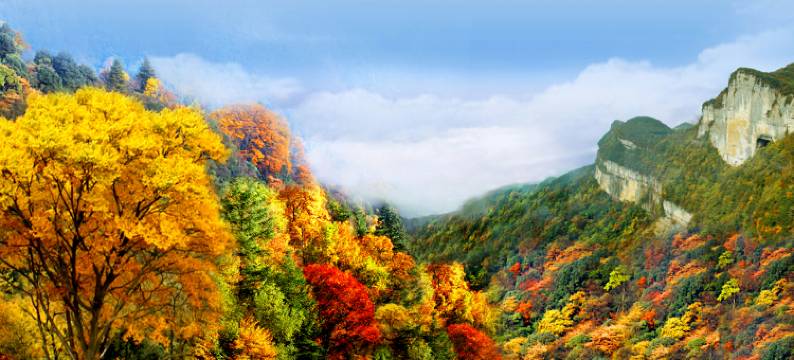 兰竹农家乐图片