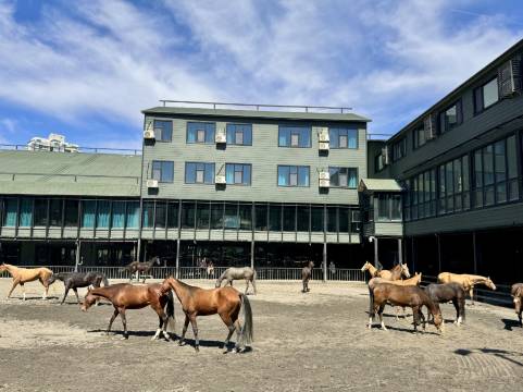 乌鲁木齐野马丝路驿站文化主题沙龙图片