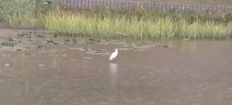 星越宾馆(邵逸夫医院钱塘院区店)图片