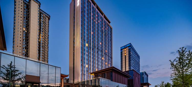 桔子酒店(成都天府国际机场店)图片