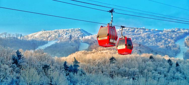 亚布力阳光假日酒店图片