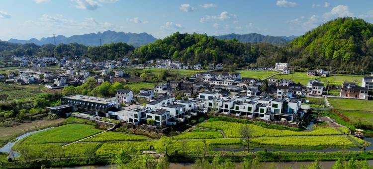 黄山休宁田居里艺术度假村Villa Hotel图片