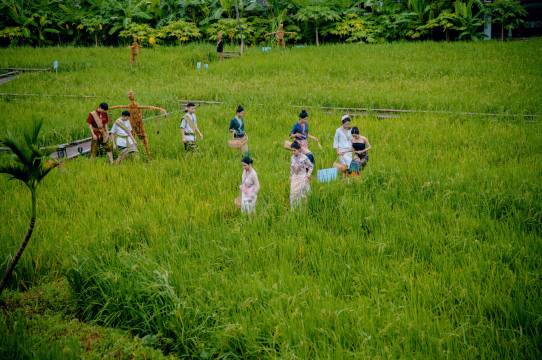 漫隐·稻香Laos度假院墅(嘎洒机场店)图片