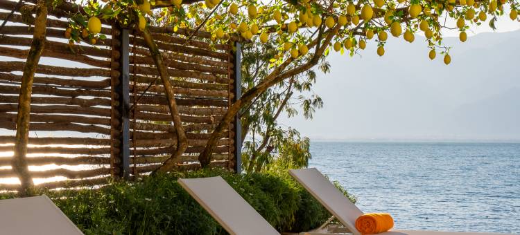 听花堂海景花园美宿(大理洱海天境店)图片