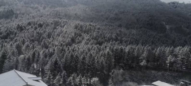 宝兴生态主题酒店图片