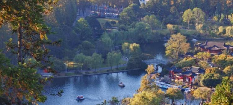 井冈山友间·野奢景观度假民宿图片