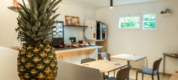 法国布雷斯特泰尔公寓式酒店(Terres de France Brest)图片