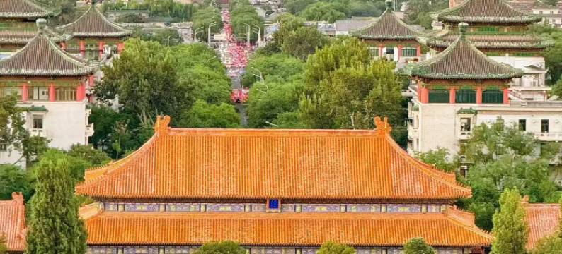 和乔麗致酒店(北京大望路地铁站国贸CBD店)图片