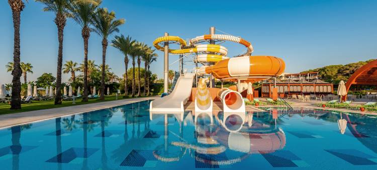 帕洛玛森西亚(Paloma Sencia)图片