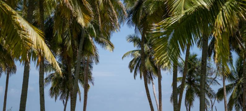 卡尔库达海滩别墅(Kalkudah Beach House)图片