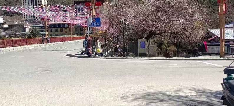 察隅格瓦拉大酒店图片