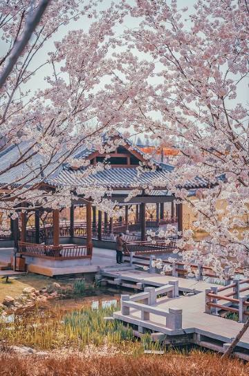 晋城凤城康养中心图片