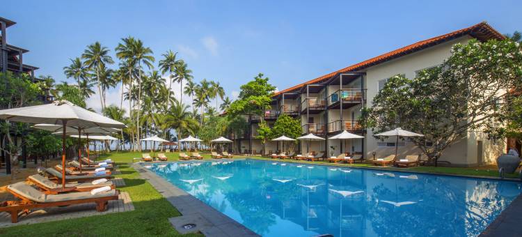 美人鱼酒店及俱乐部(Mermaid Hotel & Club)图片