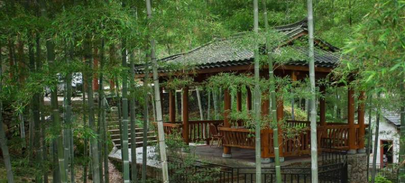 S湾山庄民宿图片