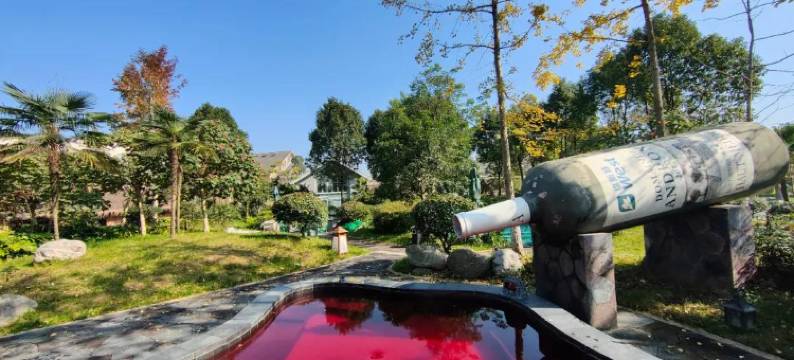 维斯特温泉度假酒店图片