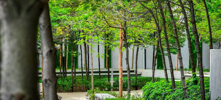 The Robertson Bukit Bintang by Centurypro图片