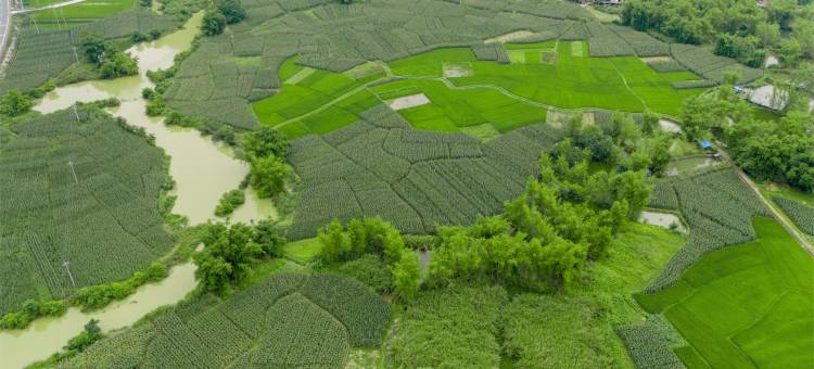 明月山舍民宿图片