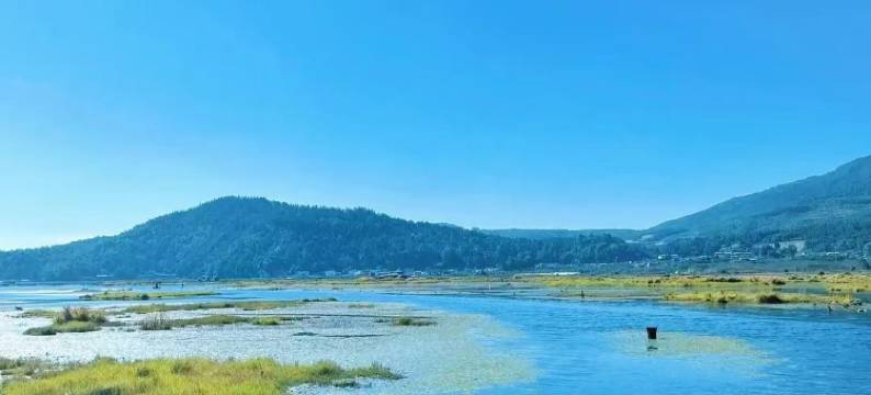 腾冲茶博园温泉酒店图片