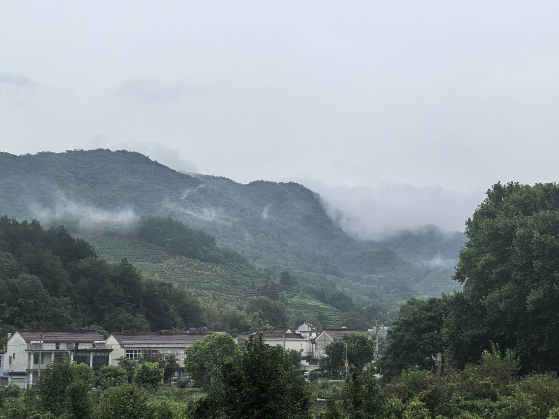 少间·半书舍民宿(庐江汤池温泉度假区店)图片