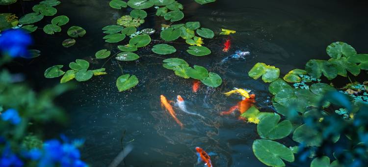 花筑·泾安在民宿图片