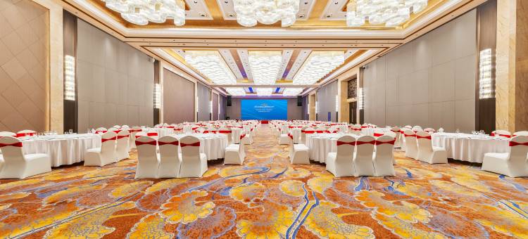 成都尊悦豪生酒店图片