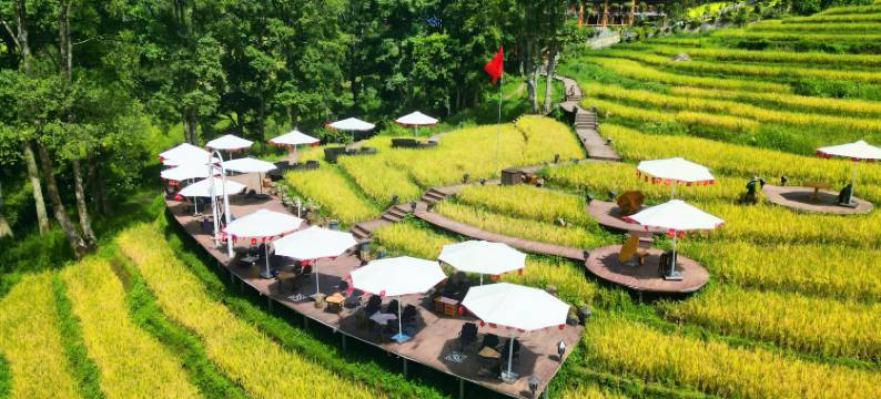 MT山脚下的房子(MT House Sa Pa - Mountain & Terraced fields View And Trekking Tour)图片