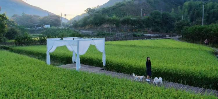 沐格山居(绍兴覆卮山店)图片