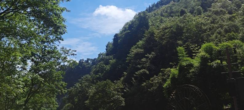 车溪风上民宿图片