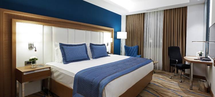 代德曼-开塞利(Dedeman Kayseri)图片