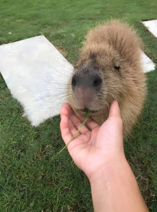 台山颐和澜悦温泉度假酒店图片