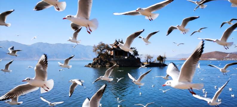 半湾云栖·270°枕海帆影Heal氛围感海景·疗愈艺邸(小普陀店)图片
