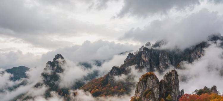 黄山高铁站凯悦嘉轩酒店图片