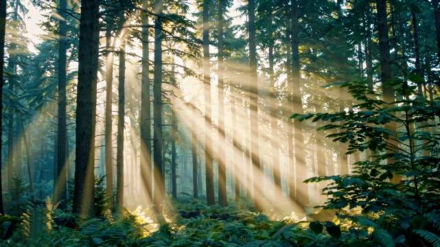 Elong R.YUN 艺龙瑞云酒店(武汉大智路地铁站江汉路步行街店)图片