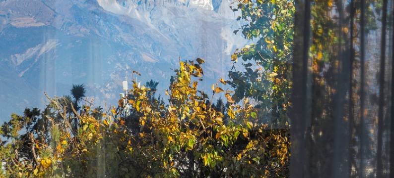 丽江古城都泊林·浮光集Holiday Villa轻奢度假民宿(大水车店)图片