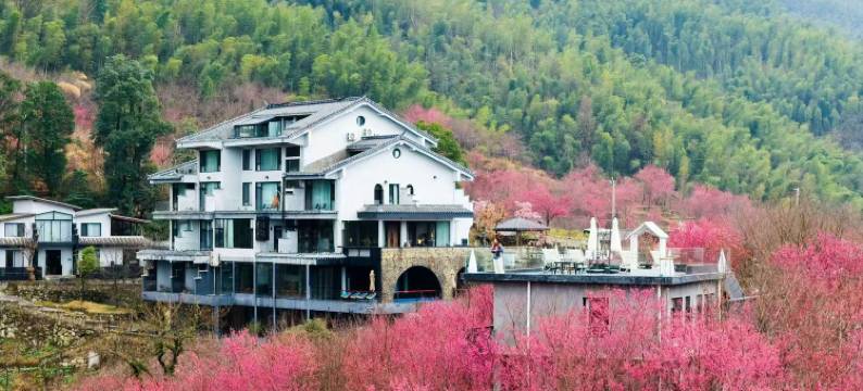 瀚德山居Retreat·樱花主题度假庄园图片