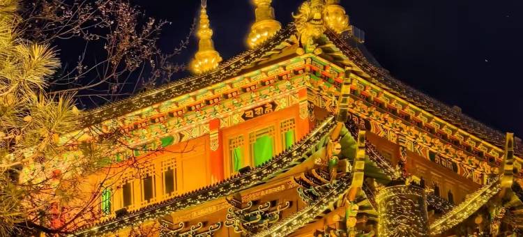 莫忧舍民宿(独克宗古城大佛寺转经筒店)图片