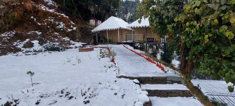 松树先锋生态度假村(Pine pioneer the eco resort)图片