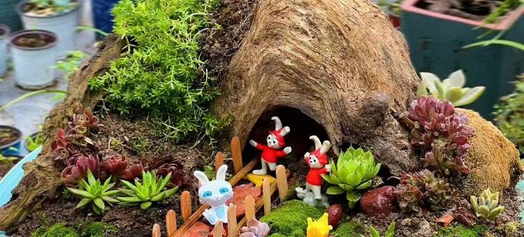 云和云栖民宿图片