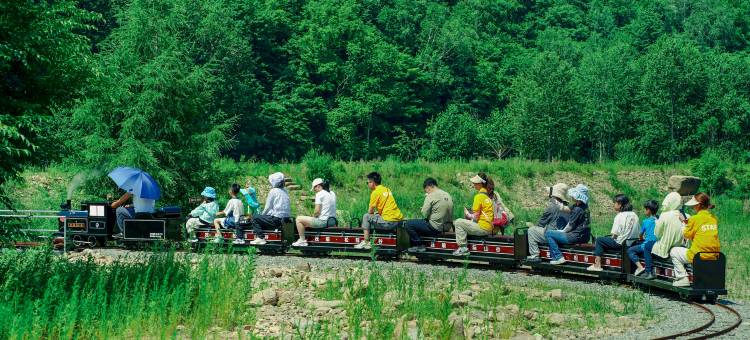 伊春筏喻松际民宿图片