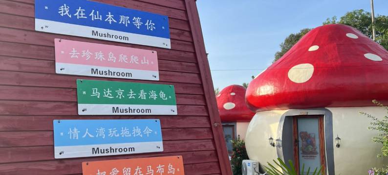蘑菇里民宿(中文管家,免费镇上/码头阿尔法接送,海鲜加工)(Mushrooms Inn)图片