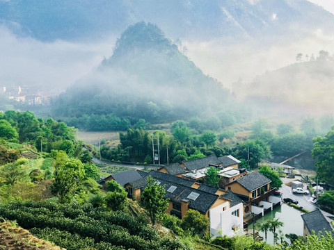 松阳泉沚·白峰民宿