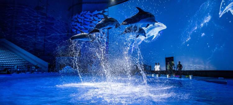 重庆施柏阁酒店图片