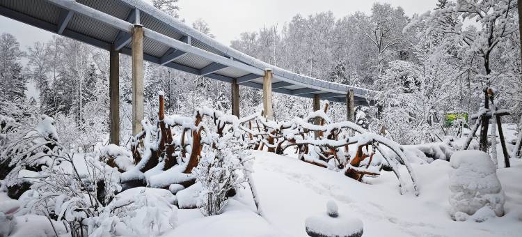 长白山希尔顿逸林温泉酒店图片