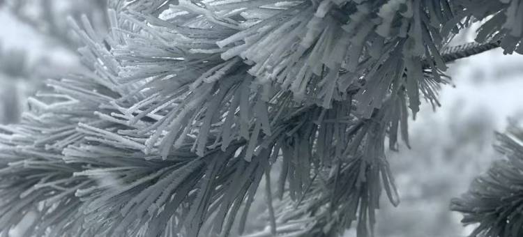 新昌天姥山天姥隐酒店图片