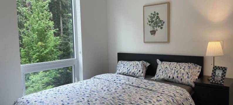 温哥华机场旅馆(Vancouver Airport Inn)图片